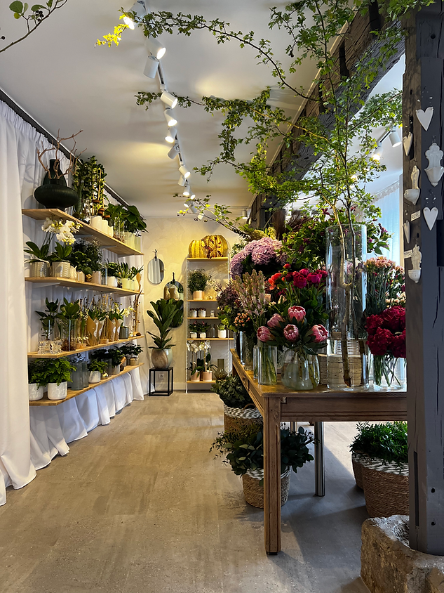Vue du magasin Boutique ARMAND. Fleuriste