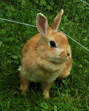 DSCN7891.JPG