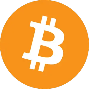 Bitcoin.svg (1).webp