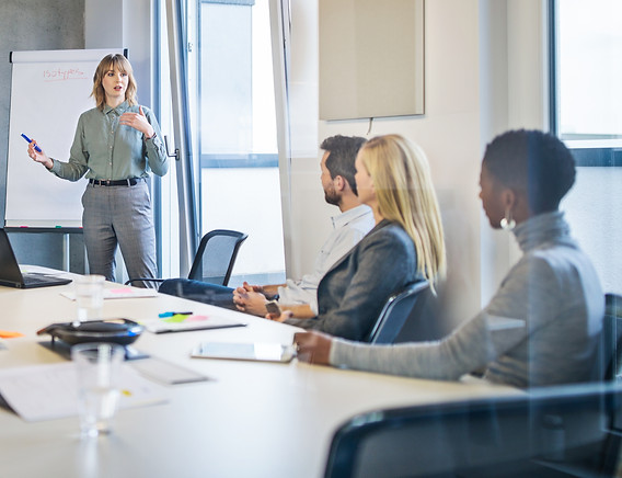 executive leadership development