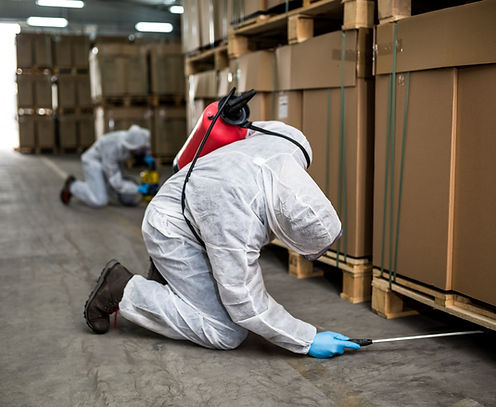 Commercial Pest Control in Avondale AZ