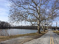 Salem County, NJ Mental Health IOP and PHP Near Me.jpeg