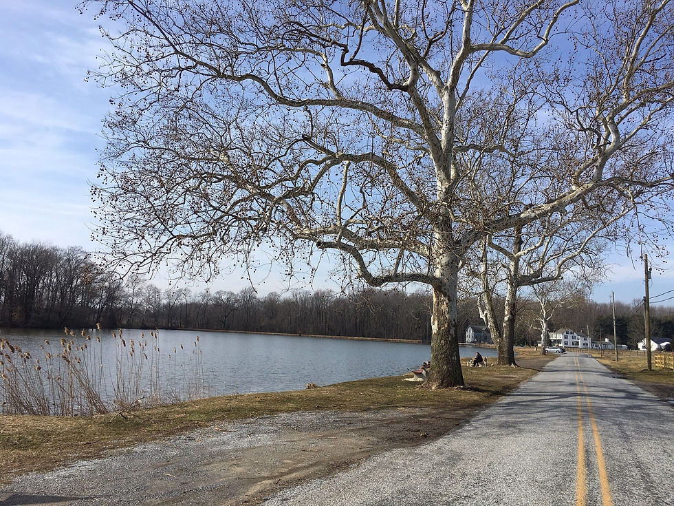 mental health IOP Salem County NJ