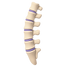 Copy of Copy of ab (16)_edited.png