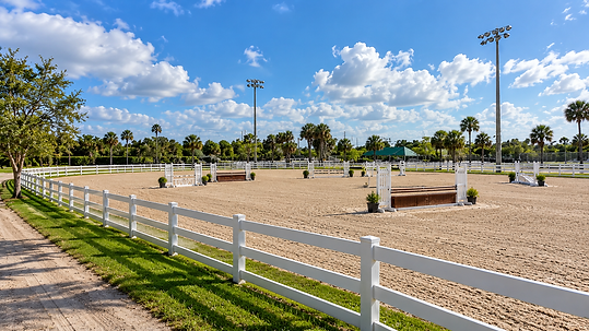 Sunlit Equestrian Arena with Show Jumps.png