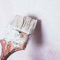 Mold Remediation