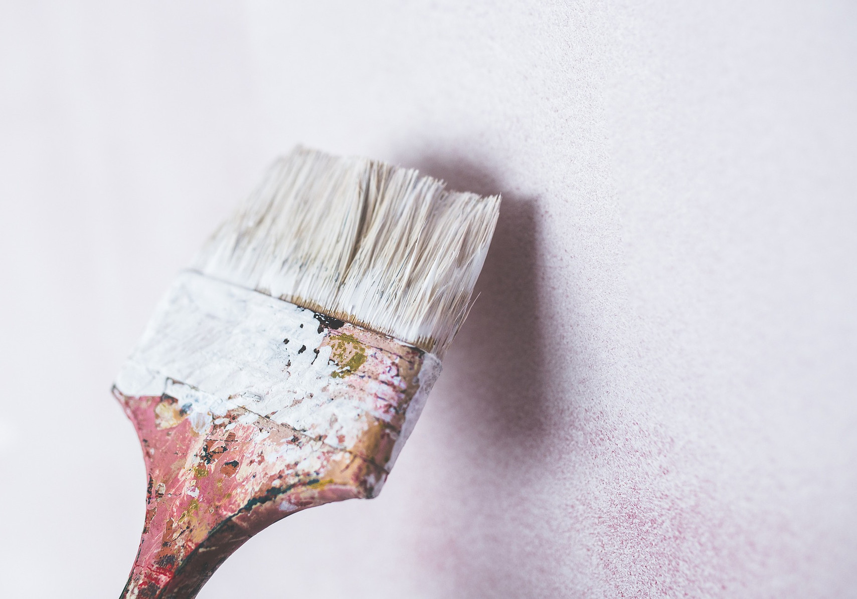 Mold Remediation