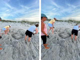 Guardians of the Dunes: Protecting HBSP’s Turtle Nests