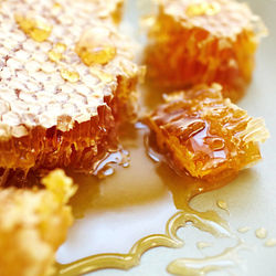honeycomb