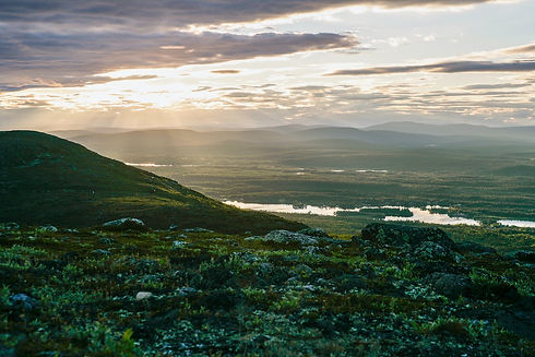 gallivare-naringsliv-sommar-hansson.jpeg