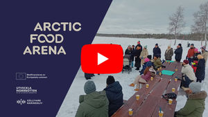 Arctic Food Arena är inne i sin avslutande fas, men arbetet fortsätter