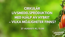 Cirkulär livsmedelsproduktion med hjälp av Hybrit – Vilka möjligheter finns?