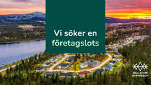 Vill du vara med och forma Gällivares framtid genom att arbeta med lokalt näringsliv?