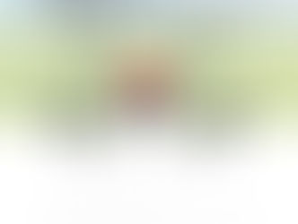 農薬散布ドローン　墜落機体修理！！