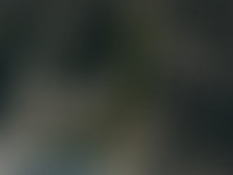 無人航空機（ドローン） レベル3.5飛行情報