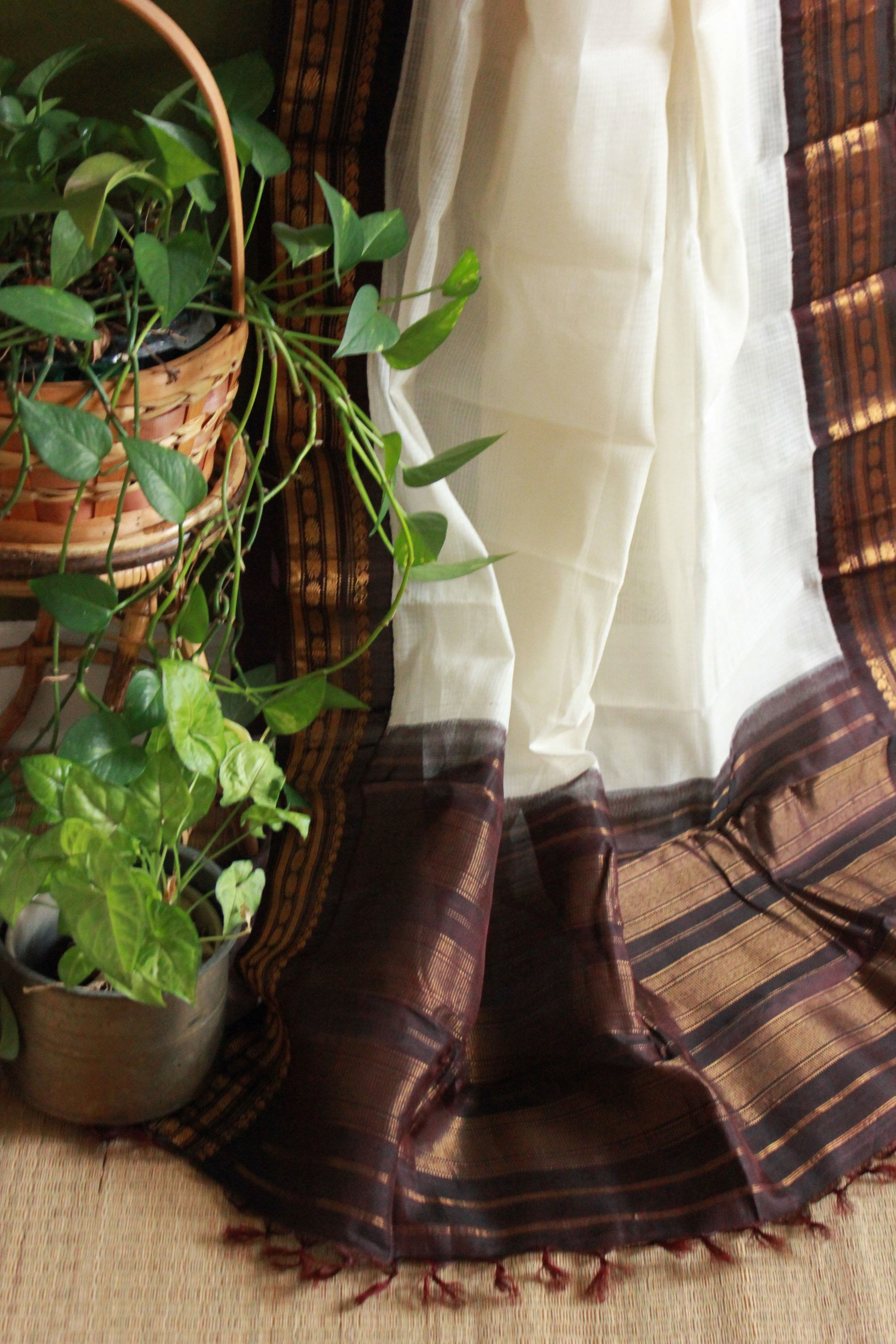 Gadwal off white with coffee brown border