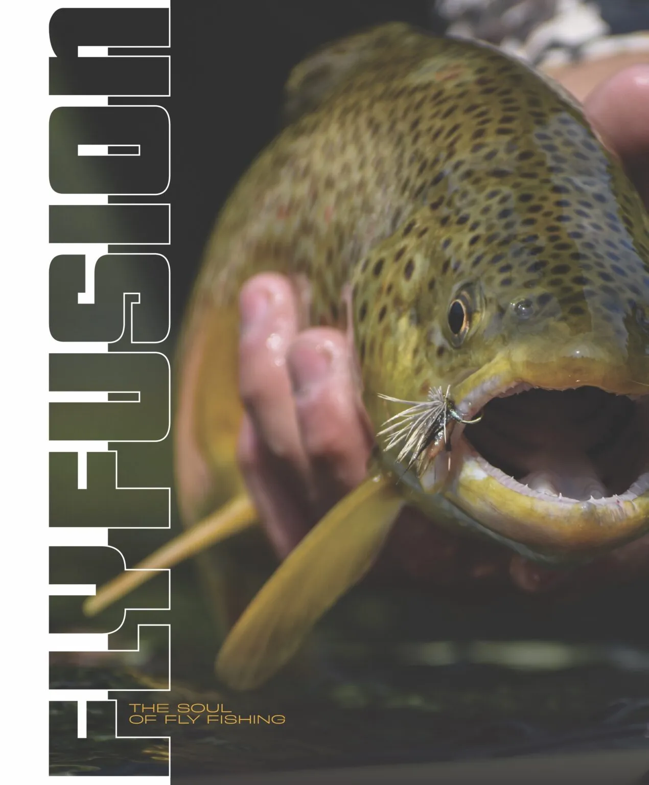 Fly Fusion Magazine