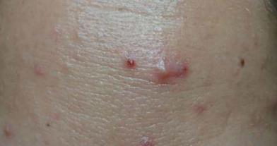 Screenshot 2022-12-18 at 8.47.23 PM.png