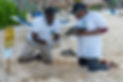 Ab Sea Turtle Awareness volunteers excavating a nest, inspecting undeveloped turtle eggs and writing out the data.