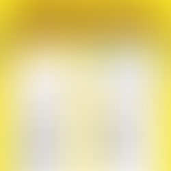 【イベント】おとなの遠足報告会