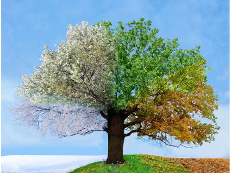 【助成金】サンエス基金