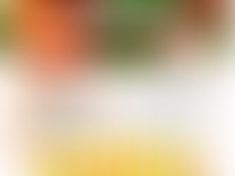 【イベント】親子で完熟トマト収穫体験