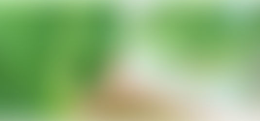 【助成金】タカラ・ハーモニストファンド助成事業