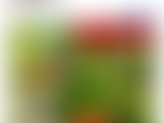 【イベント】気軽に茶道に触れてみませんか?鶴ヶ城 茶道体験ワークショップ