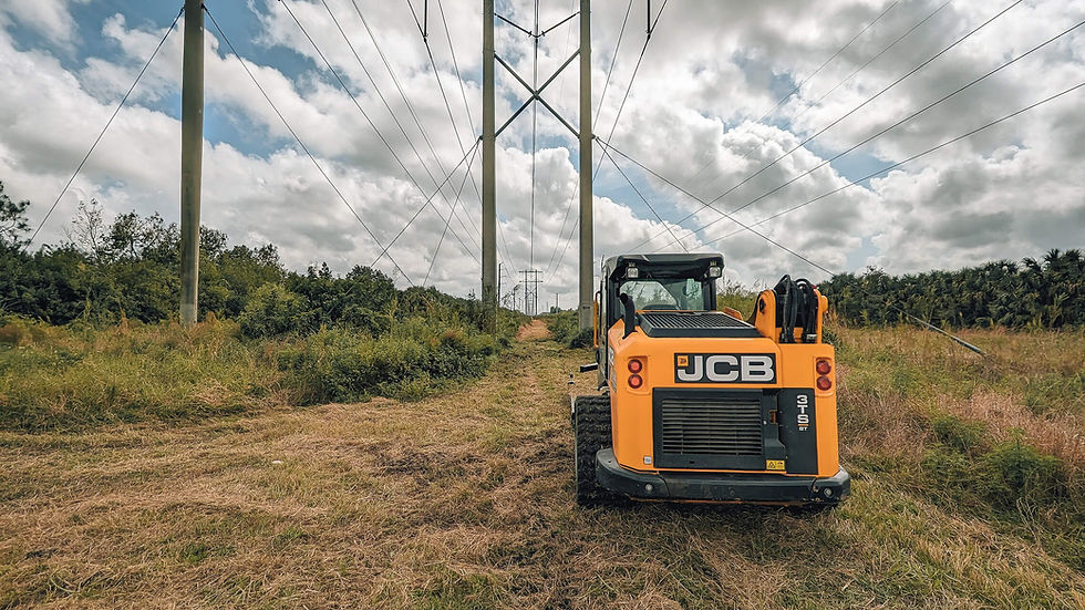 Land clearing under utility lines using skid steer by PRIMUS