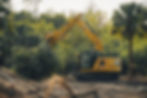 CAT 313 excavator clearing dense brush — reducing pest habitats and eliminating fire hazards in overgrown Florida lots.