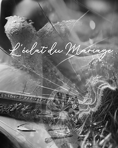 page de couverture du livre: L'Éclat du mariage de Séraphine SOMBREL