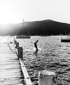 Plongeon nouvelle Zélande voyage