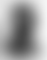 The Portrait of Reverend Martin Luther King Jr. in the White House