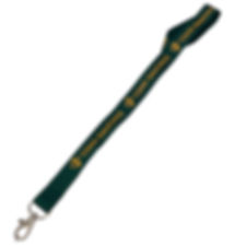 Lanyard