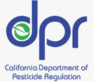 icon-dpr.png