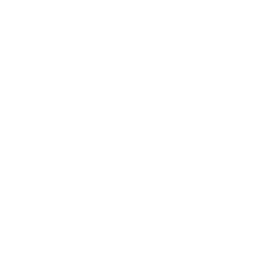 icon-shield.png