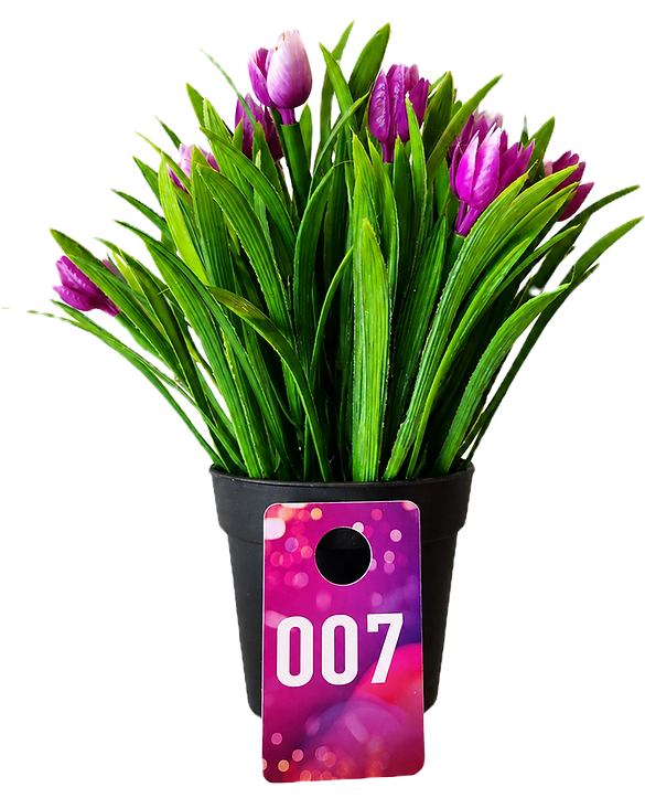 GLGrow Flower_edited.png
