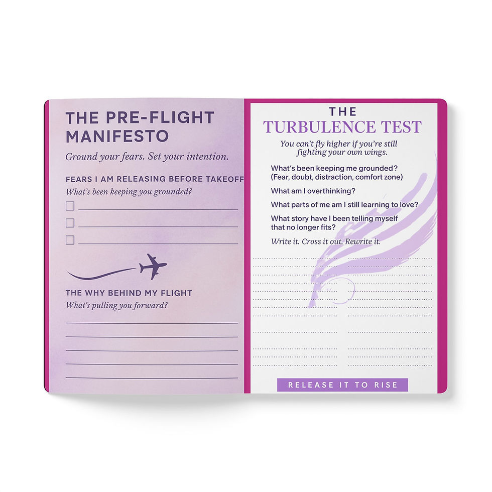 Thumbnail: Flight Plan Manifesto - (Pink)