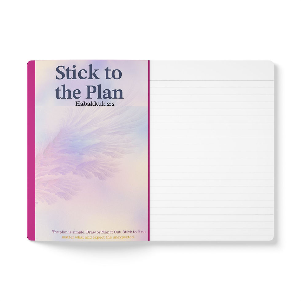 Thumbnail: Flight Plan Manifesto - (Pink)