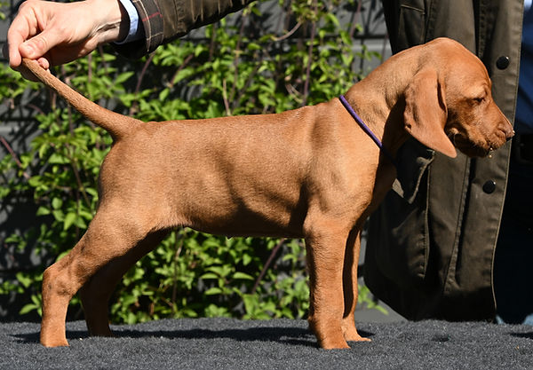 DSC_2136.JPG
