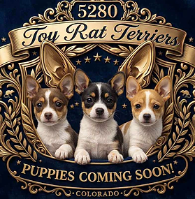 Coming Soon!