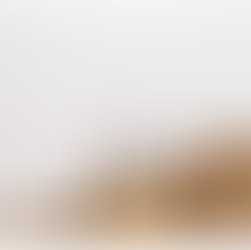 Seguridad, el reto crítico para el desarrollo económico de Baja California en 2026