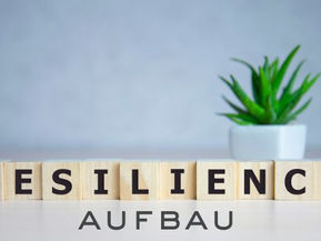 Resilienz aufzubauen fühlt sich oft schwerer an, als es wirklich ist. Viele Menschen spüren den Wunsch nach mehr innerer Stärke, wissen aber nicht, wo sie anfangen sollen. In der psychologischen Beratung schauen wir gemeinsam auf Ihre aktuelle Situation, sortieren Belastungen und entwickeln Schritte, die Sie spürbar entlasten und wieder handlungsfähiger machen.