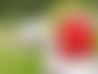 Selbstbewusstsein stärken Übungen: rote Hanteln auf Mauer im Grünen