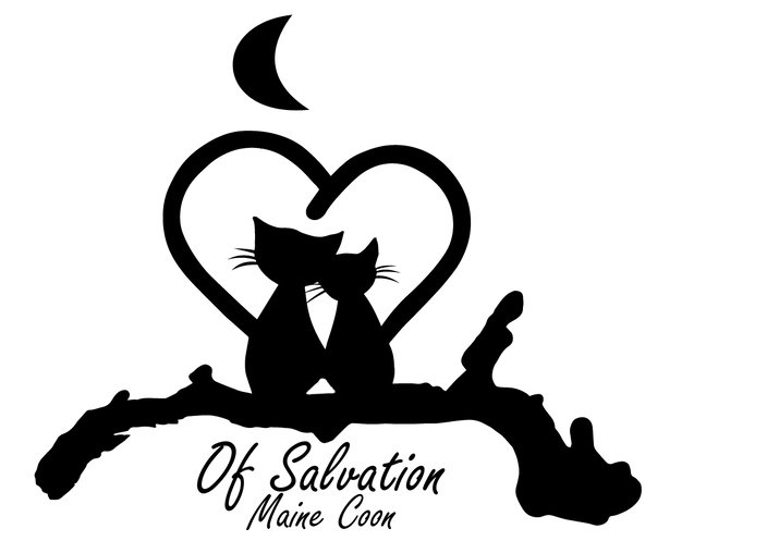 Of Salvation_Logo.png