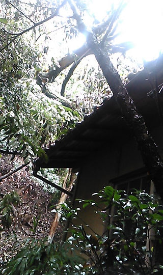 After Typhoon21