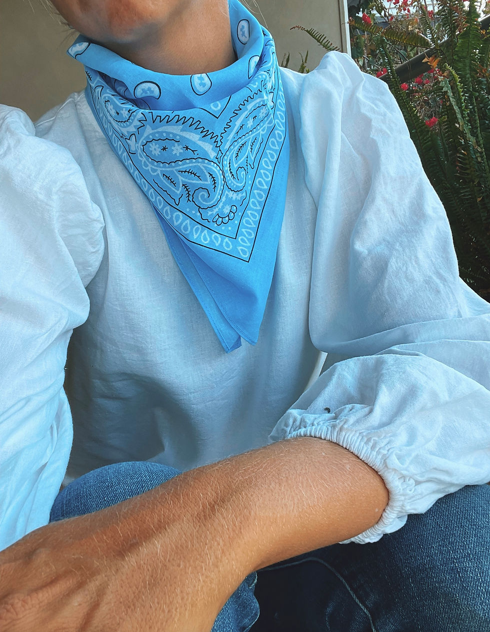 Thumbnail: Paisley Basics Scarves