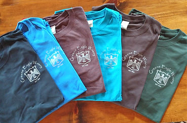 All color T Shirt.jpg