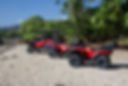 DSC_3590.JPG