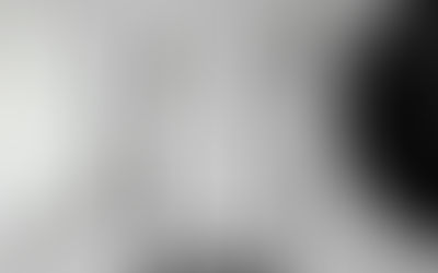 Guess Who's Coming to Somerset?